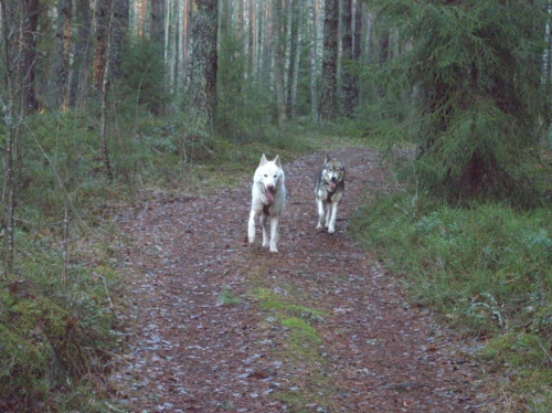 2020 01.09. 10.58.33 Kero ja Kiiki